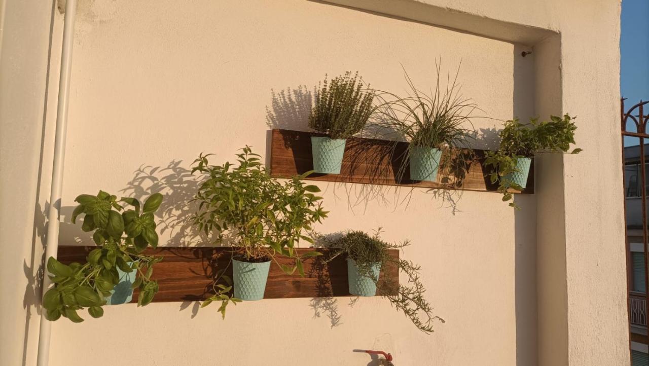 Domus Vacanze Romane מראה חיצוני תמונה